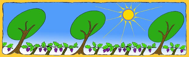 a holiday in the sun